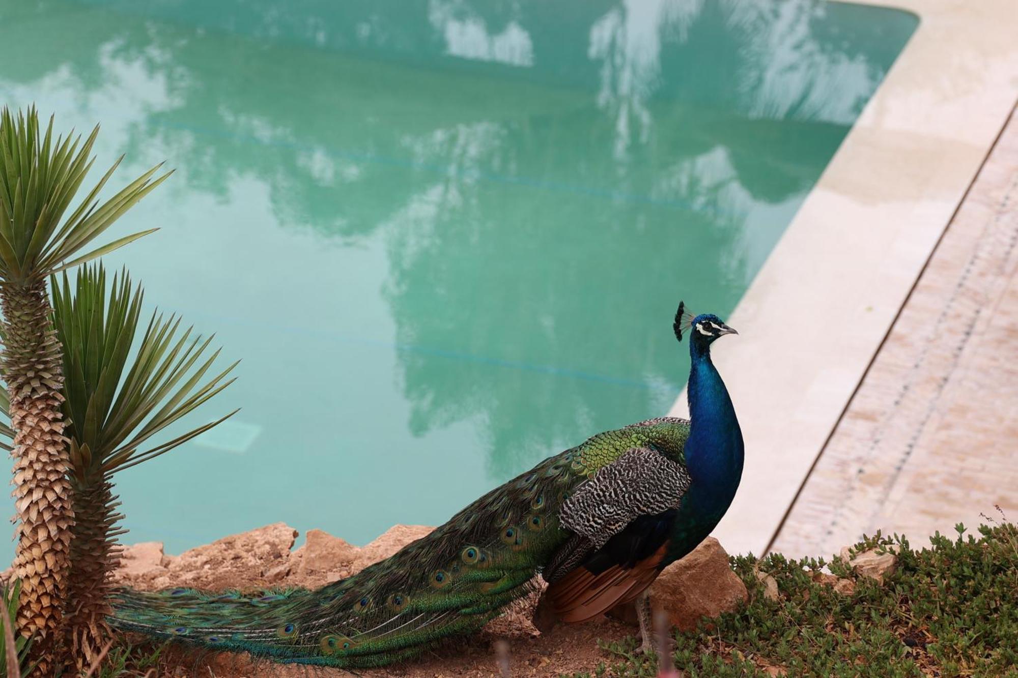 Paradis Nomade Azrarag Zewnętrze zdjęcie